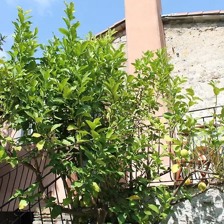 Terrazza Sul Golfo Cinque Terre - Il Casale Alojamento de Turismo Rural La Spezia